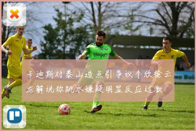 卡迪斯对泰山造点引争议李欣徐云龙解说称跳水嫌疑明显反应过激